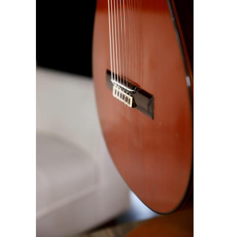 1976 Ramirez Traditional 1a Cedar Indian Rosewood