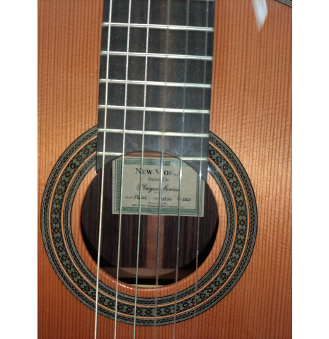 2020 Kenny Hill Player Series spruce Indian Rosewood