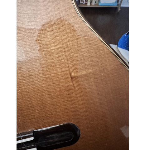 2018 Yulong Guo Concert model Cedar/Spruce Double Top Brazilian Rosewood Double Back