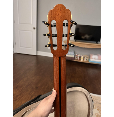 2018 Yulong Guo Concert model Cedar/Spruce Double Top Brazilian Rosewood Double Back