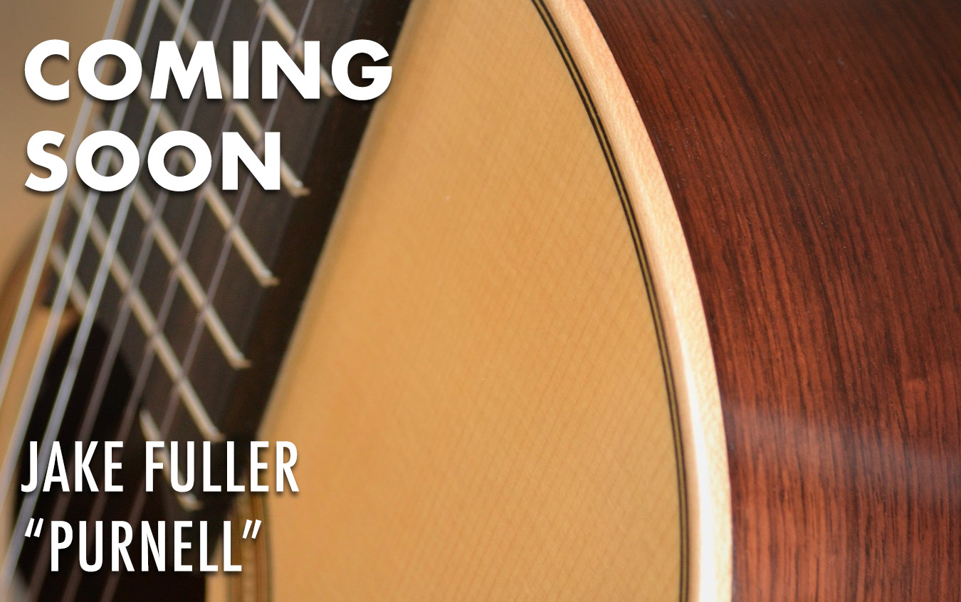 British acoustic guitar makers sales