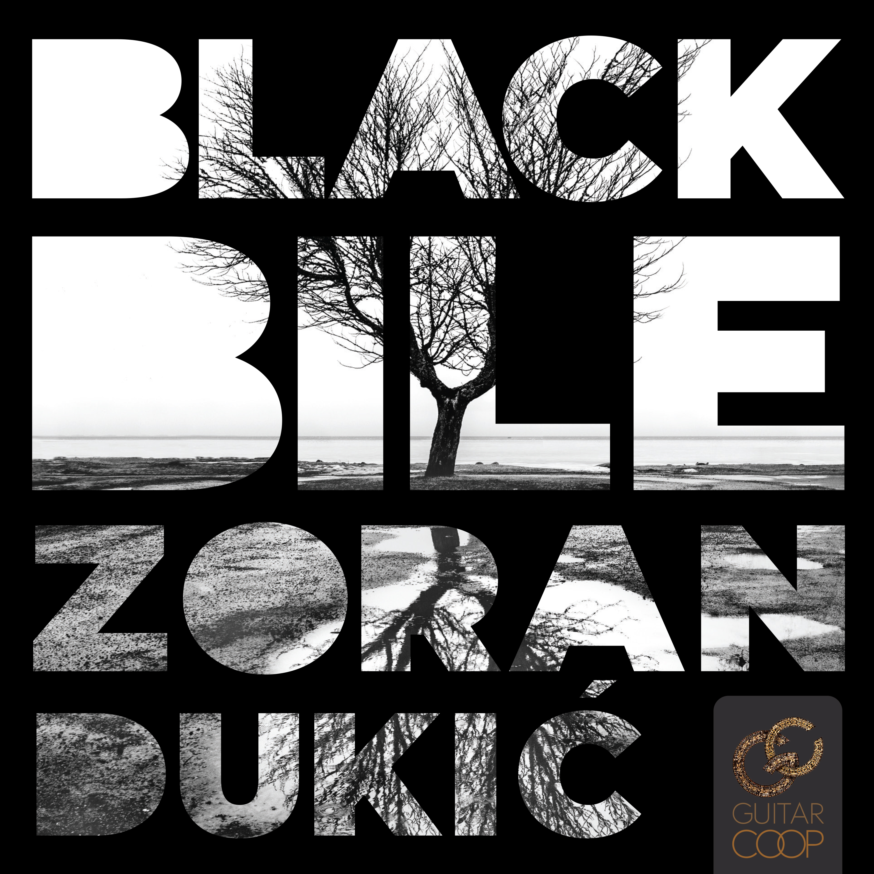 Zoran Dukic - Black Bile