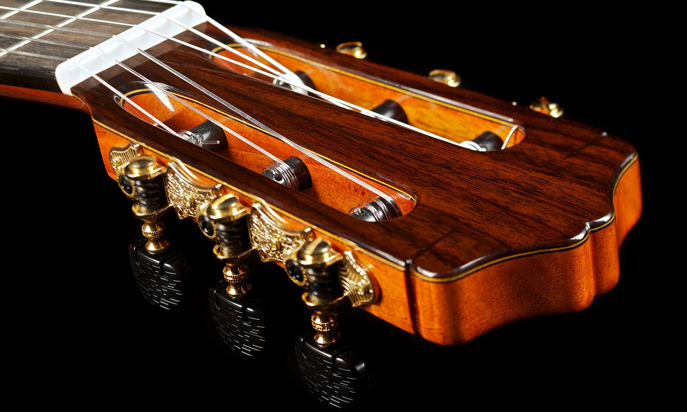 Cordoba "C9" CD/MH Guitar GSI