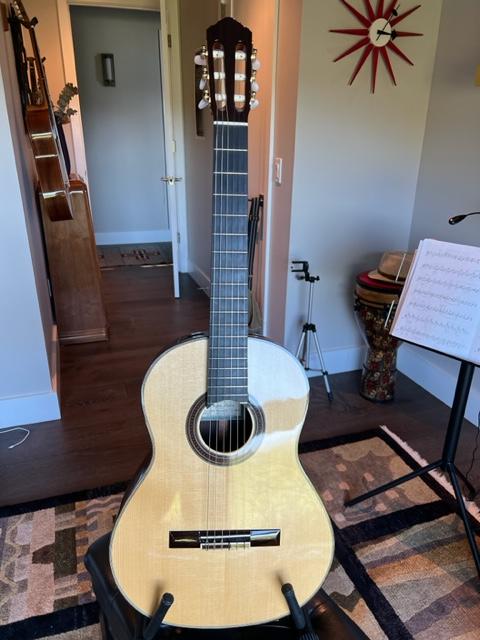 2018 New World Guitar Company 640s Elevated Spruce Rosewood
