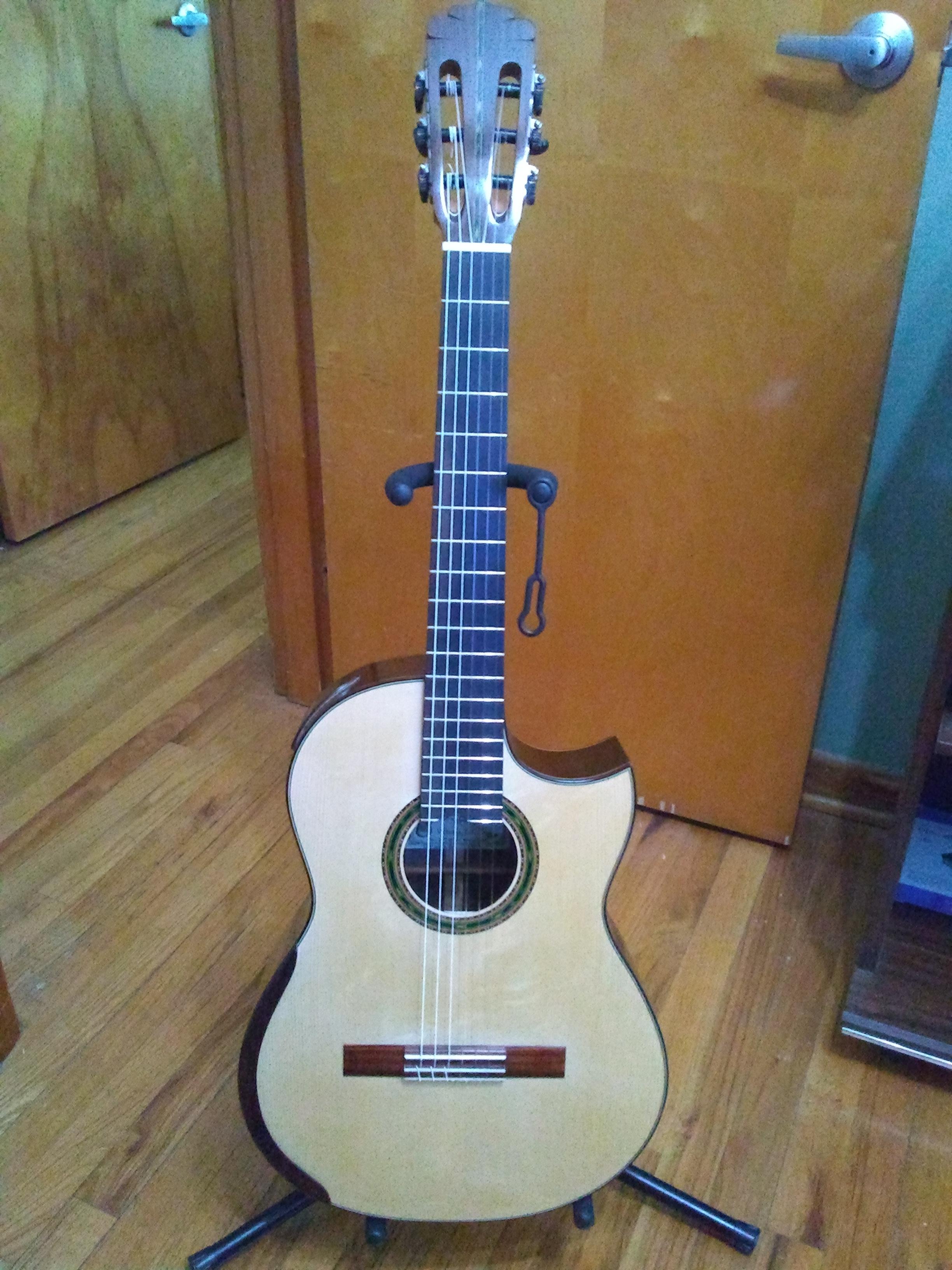 2026 Marcus Dominelli Double Top Sitka Spruce Indian Rosewood 2026 Marcus Dominelli Double Top Sitka Spruce Indian Rosewood