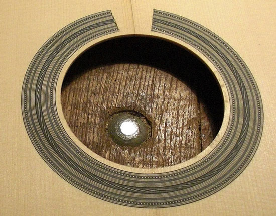 Field-Rosette
