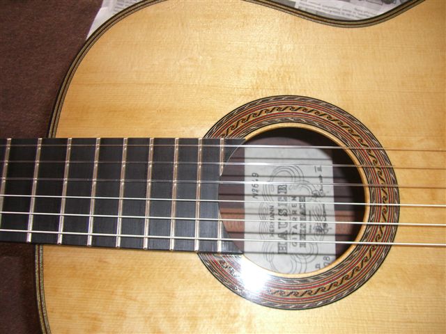 hauser_1