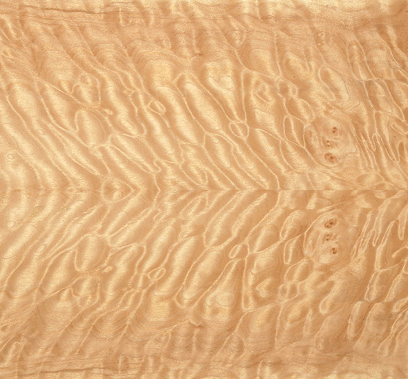 backgroundauction3